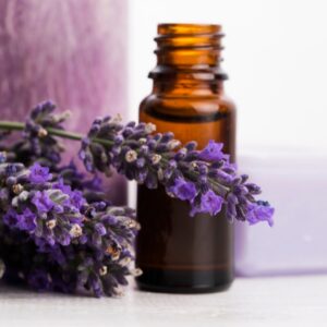 Lavender Moments